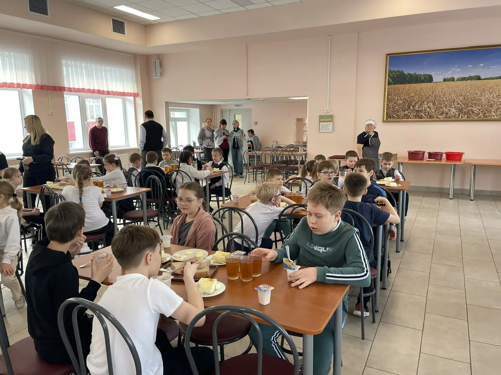 Общий вид